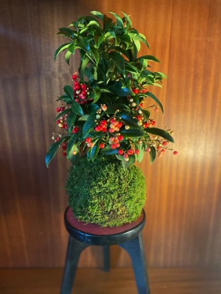 KOKEDAMA