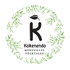 Kokenendo